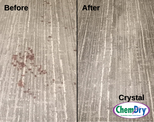 Carpet cleaned by Crystal Chem-Dry in Long Island, NY
