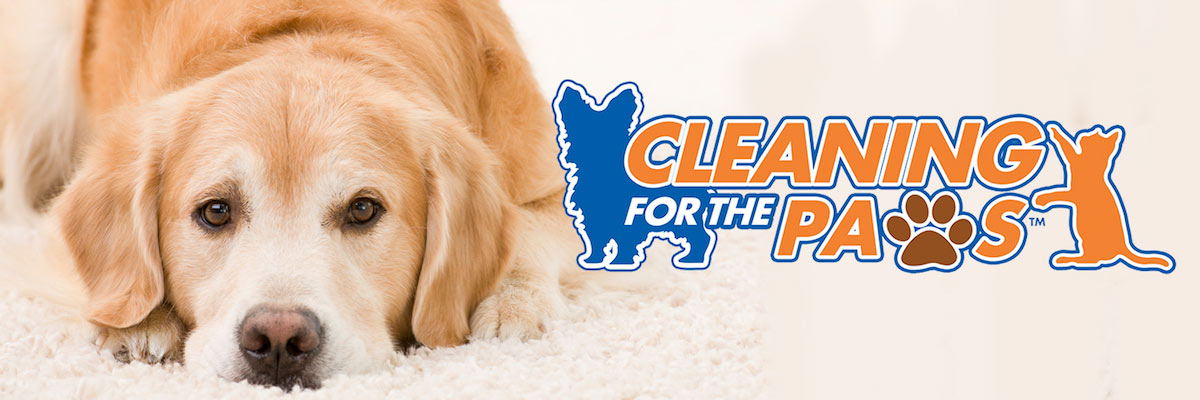 Long Island, New York pet urine removal treatment services by Crystal Chem-Dry